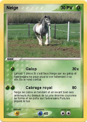 Pokemon Neige