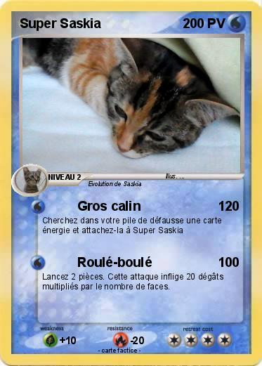Pokemon Super Saskia