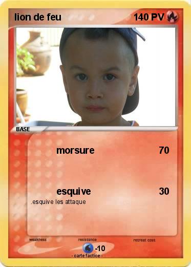 Pokemon lion de feu