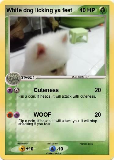 Pokemon White dog licking ya feet