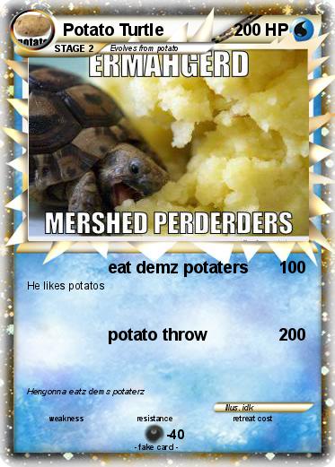 Pokemon Potato Turtle