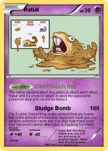 Pokemon Ratuk