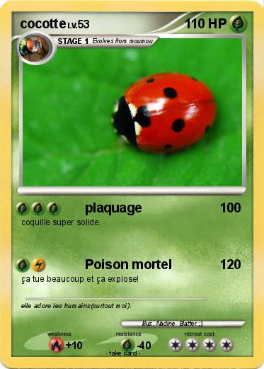 Pokemon cocotte
