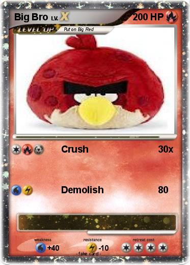 Pokemon Big Bro