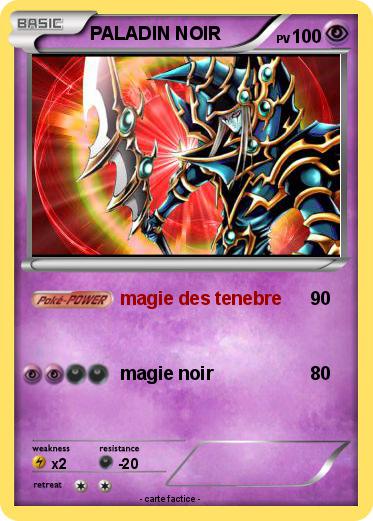 Pokemon PALADIN NOIR
