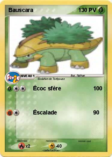 Pokemon Bauscara