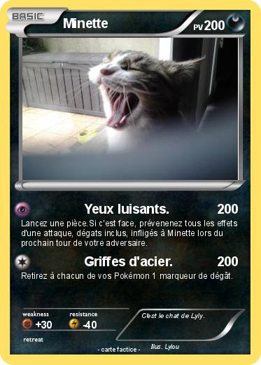 Pokemon Minette