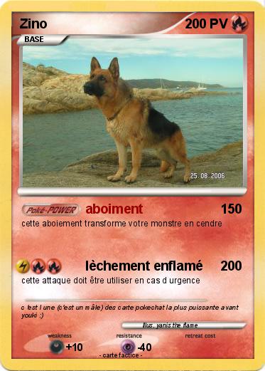 Pokemon Zino