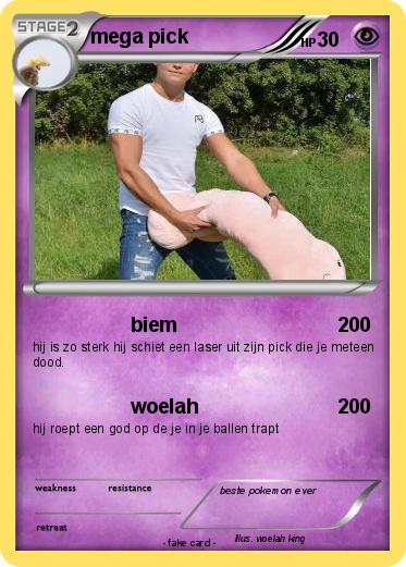 Pokemon mega pick