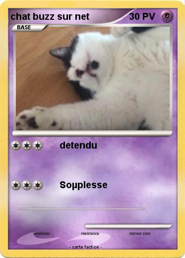 Pokemon chat buzz sur net