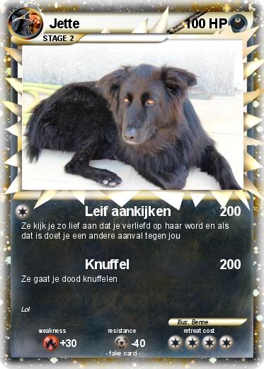 Pokemon Jette