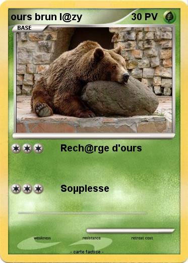 Pokemon ours brun l@zy