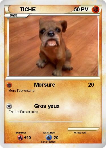 Pokemon TICHE