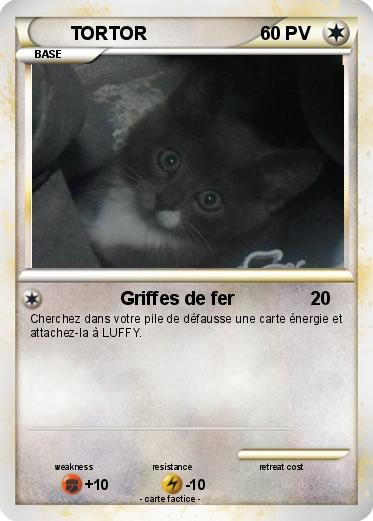 Pokemon TORTOR
