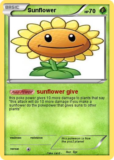 Pokemon Sunflower