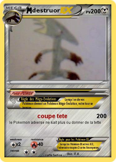 Pokemon destruor