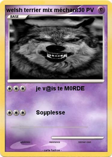 Pokemon welsh terrier mix méchant