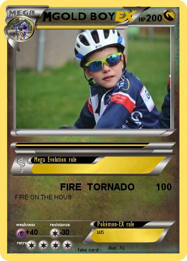 Pokemon GOLD BOY