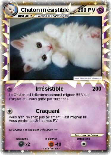 Pokemon Chaton irrésistible