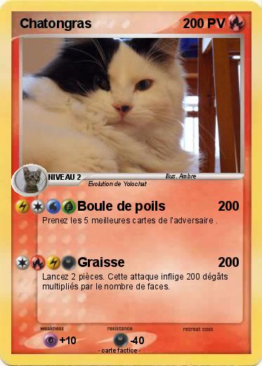 Pokemon Chatongras