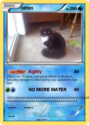 Pokemon kitten