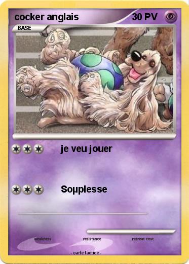 Pokemon cocker anglais