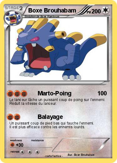 Pokemon Boxe Brouhabam