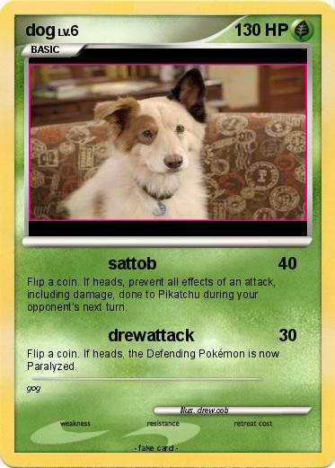 Pokemon dog