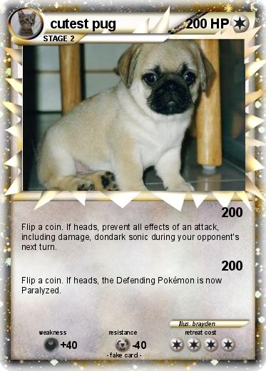 Pokemon cutest pug