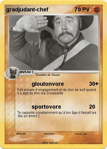 Pokemon gradjudant-chef