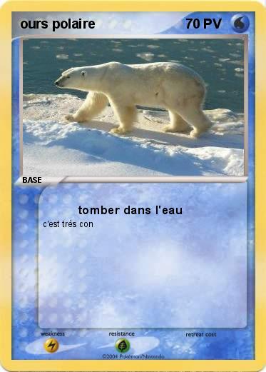 Pokemon ours polaire