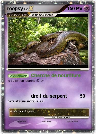 Pokemon roopsy
