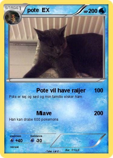 Pokemon pote  EX