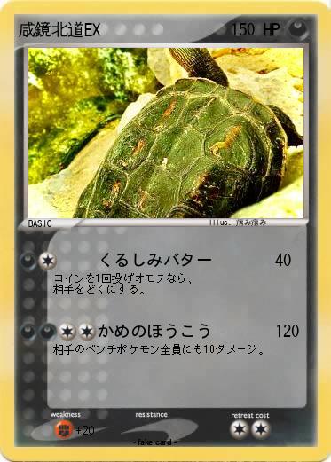 Pokemon 咸鏡北道EX