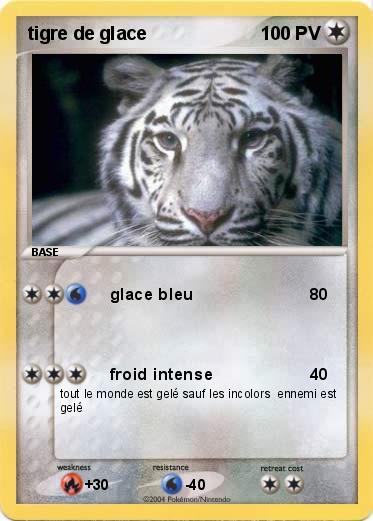Pokemon tigre de glace 