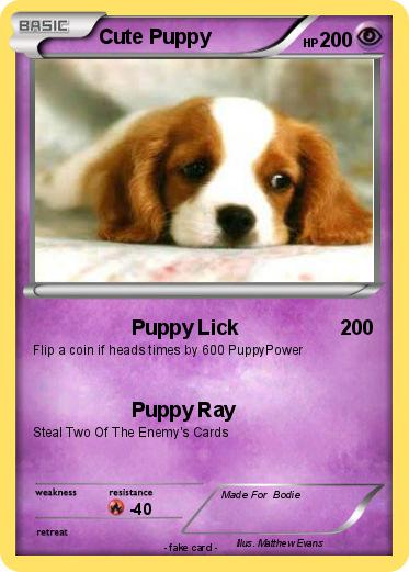 Pokemon Cute Puppy