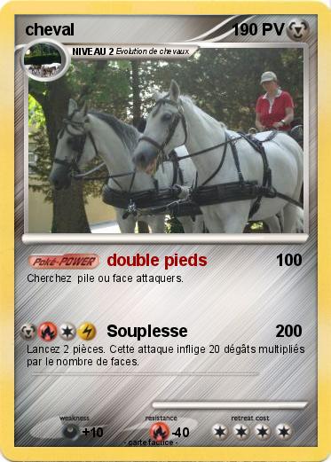 Pokemon cheval