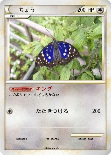 Pokemon ちょう