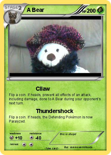 Pokemon A Bear
