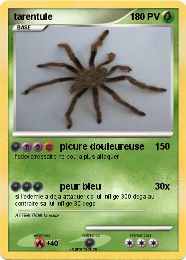 Pokemon tarentule
