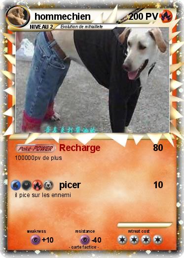 Pokemon hommechien