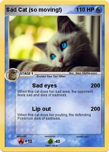 Pokemon Sad Cat (so moving!)