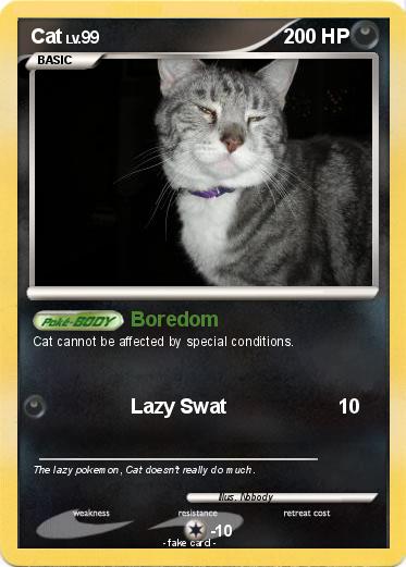 Pokemon Cat
