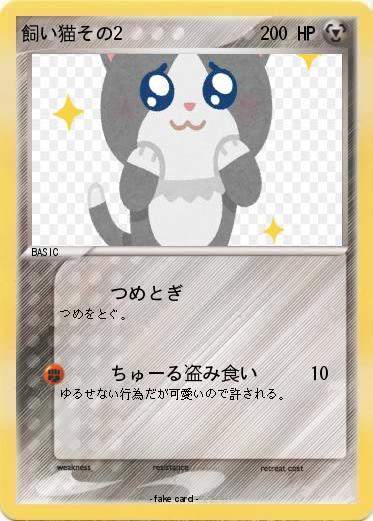 Pokemon 飼い猫その2