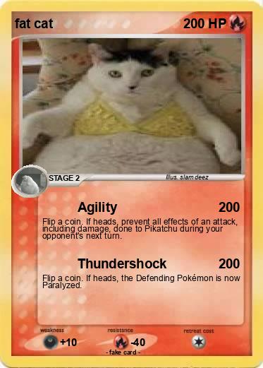 Pokemon fat cat
