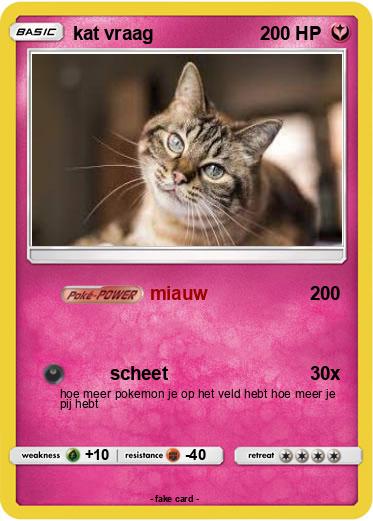 Pokemon kat vraag