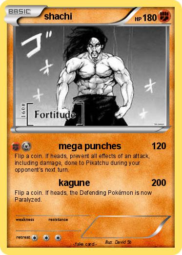 Pokemon shachi