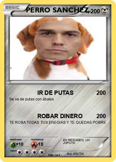 Pokemon PERRO SANCHEZ