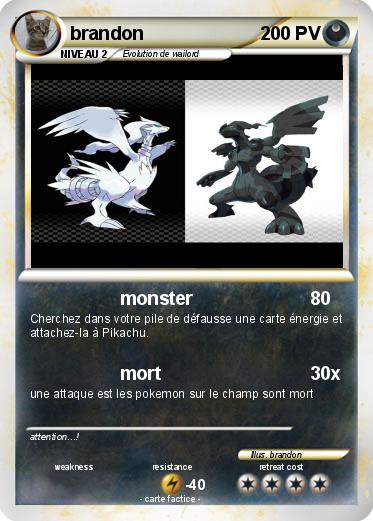 Pokemon brandon