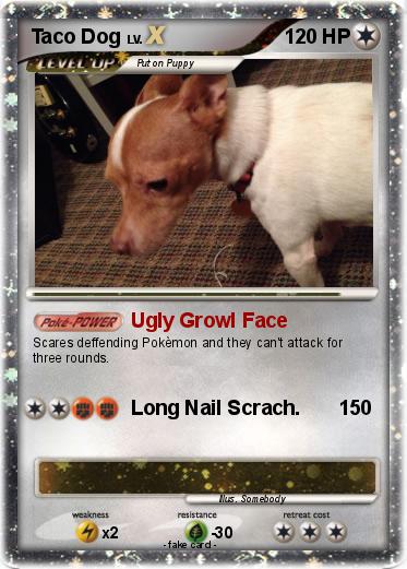 Pokemon Taco Dog
